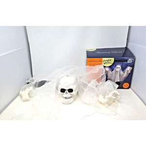 TESTED WORK Pumpkin Hollow Floating Scary Ghost White Skull Lights Sounds Motion